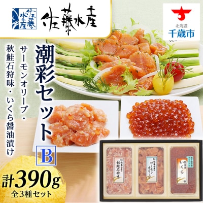 ＜佐藤水産＞潮彩セットB(サーモンオリーブ・石狩味・いくら醤油漬)