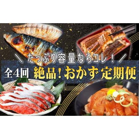 ふるさと納税 定期便 サケ 鮭 サバ 鰻 うなぎ 海鮮丼 おかず 家族みんなで楽しめる＼たっぷり容量ならコレ／絶品おかず定期便（さ.. 和歌山県古座川町