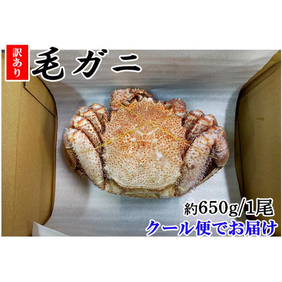 毛ガニ 毛蟹 訳あり 650g かに姿 カニ味噌 かにしゃぶ 蟹 カニ かに 北海道産 shr-018