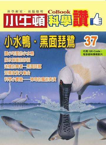 【電子書】小水鴨、黑面琵鷺