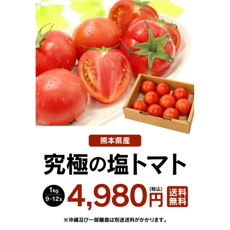 熊本産 塩トマト フルーツトマト 1kg 9〜12玉 送料無料 甘いトマト ＜12月中旬より出荷予定＞ 塩とまと 高糖度 農家直送 大嶌屋（おおしまや）