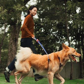 【tails&me 尾巴與我】新經典系列 犬貓共用標準牽繩(雙色 共6色)