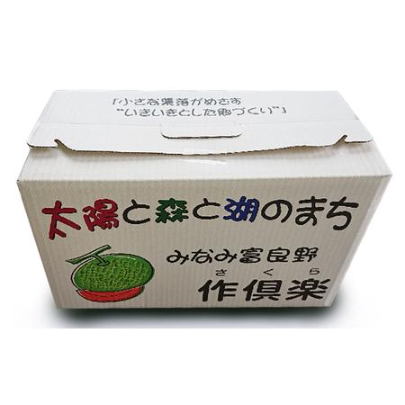 ふるさと納税 南ふらの産 赤肉メロン 1.6kg×2玉《作倶楽》 北海道 南富良野町 メロン 赤肉 2024年発送 先行予約 北海道南富良野町