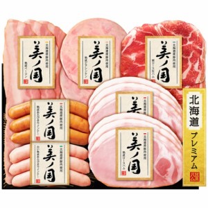 産地直送 2023お歳暮 冬ギフト 日本ハム 北海道産豚肉使用 北海道プレミアム 美ノ国 UKH-38 冷蔵配送 送料無料