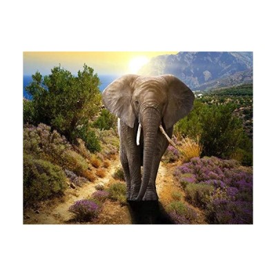 Adult Puzzles 1000 Pieces  Color Elephant Jigsaw Puzzles  Beautiful Animal