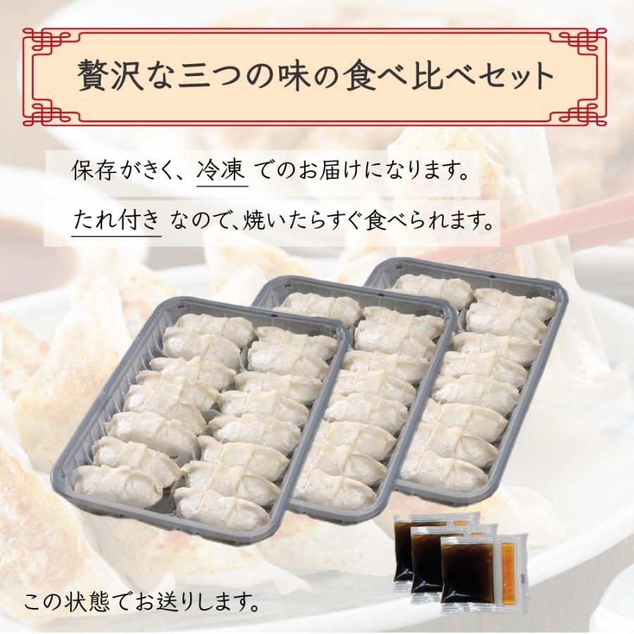 3種類のこだわり餃子セット　16個×3袋　醤油たれ×３袋　 タレ付き　送料無料　冷凍便