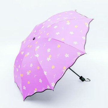 雨傘太陽傘時尚晴雨兩用便捷遮陽傘創意荷葉小清新加固防風學生傘