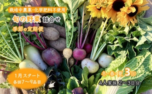 旬の野菜詰め合わせ 季節の定期便 1月スタート 栽培期間中農薬・化学肥料不使用 3回お届け 7～9品目