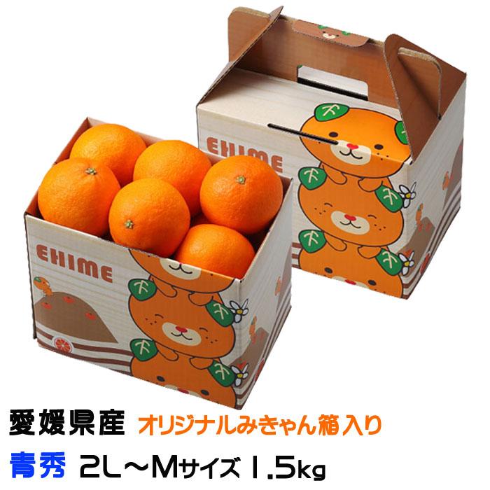 お歳暮 みかん 紅まどんな 青秀 2L〜Mサイズ 1.5kg 6玉〜10玉 愛媛県産 JAえひめ中央 中島選果場 ミカン 蜜柑 ギフト お取り寄せ