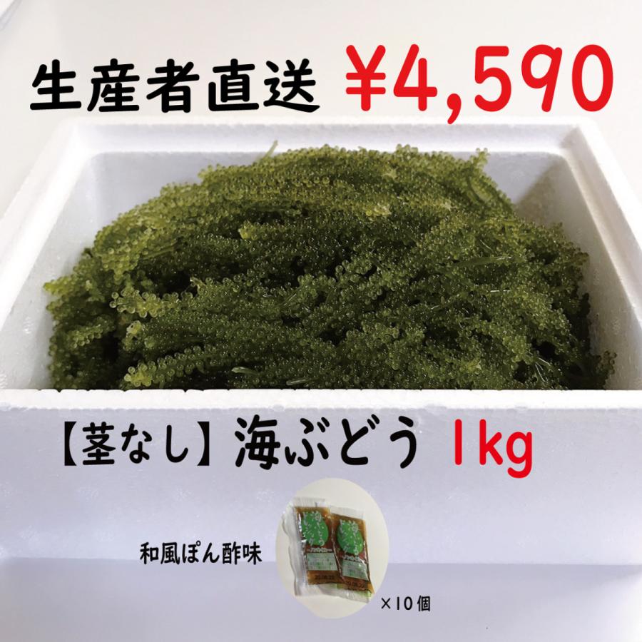 生！海ぶどうドーン！と1kg(A級品) タレ付き☆生産者が送る“鮮度抜群”海ぶどう