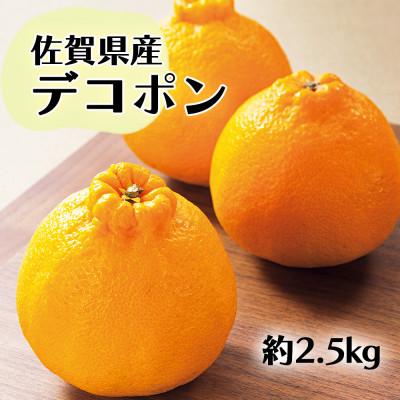 ふるさと納税 鳥栖市 佐賀産 デコポン8-12玉(約2.5kg箱)(鳥栖市)