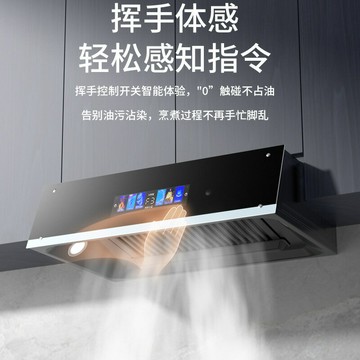 批發 大吸力抽油煙機家用廚房出租房中式小型老式歐式頂吸油煙機