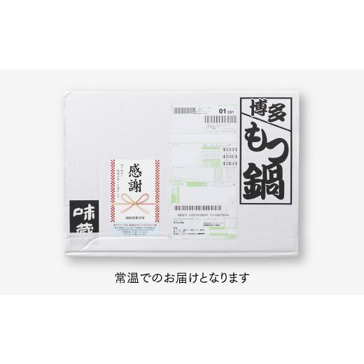 ふるさと納税 福岡県 新宮町 AA104.博多もつ鍋あごだし醤油味（10人前）ちゃんぽん麺付