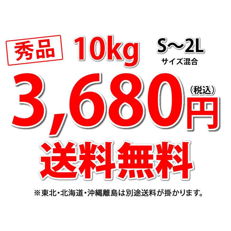 みかん 10kg 送料無料 温州みかん 秀品 熊本県産 蜜柑 ミカン