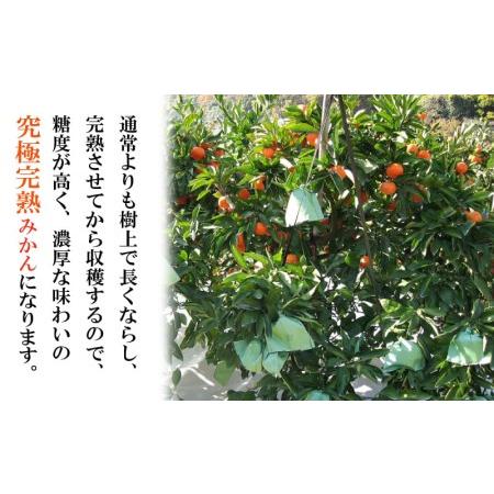 ふるさと納税 小粒越冬完熟みかん 蜜柑 約2kg 完熟 小粒 小原紅早生 みかん 香川県さぬき市