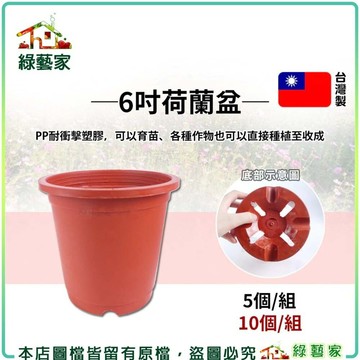 【綠藝家】荷蘭盆、栽培盆-6吋.7吋多入組  ※賣場另有其他尺寸※紅盆 種植盆 花盆 塑膠花盆 蔬菜盆 育苗盆 塑膠盆