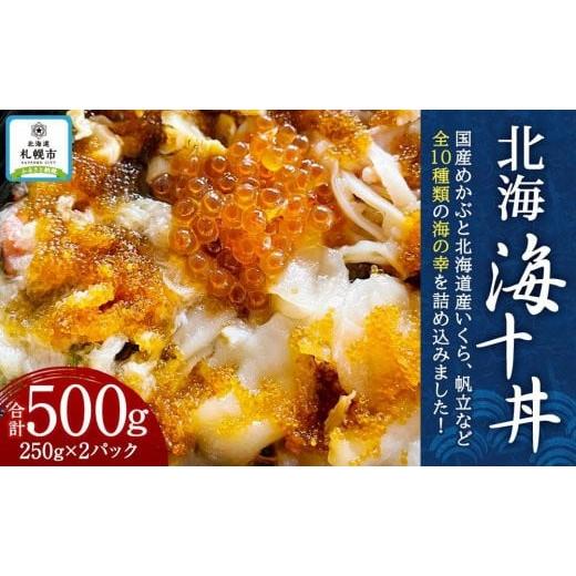 ふるさと納税 北海道 札幌市 北海　海十丼　250ｇ×2