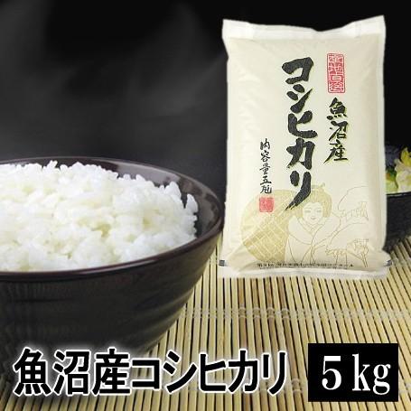 新米 令和5年産 米 5kg 魚沼産コシヒカリ 令和5年産 白米 送料無料（北海道・九州・沖縄は除く）離島は発送不可