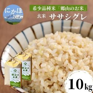 ふるさと納税 ササニシキの親　農薬不使用のササシグレ「郷山のお米」10kg（5kg×2袋）（玄米） 秋田県にかほ市