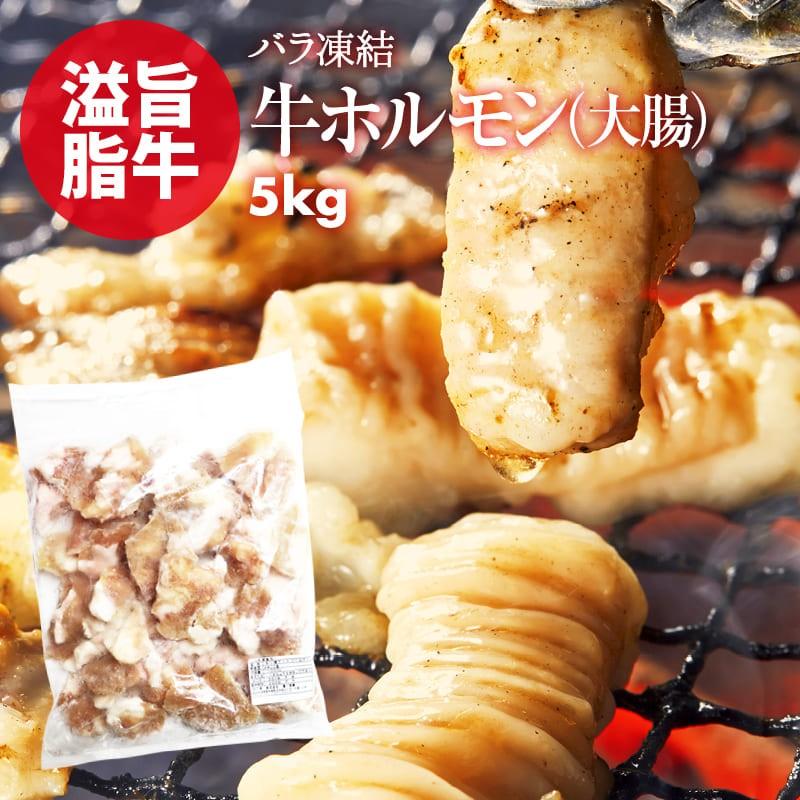 牛ホルモン 大腸 計5kg 1kg×5 便利なバラ凍結 もつ鍋 焼肉 焼き肉 ホルモン焼き バーベキュー うどん 使いたい分だけ使える 鮮度の高い 急速冷凍