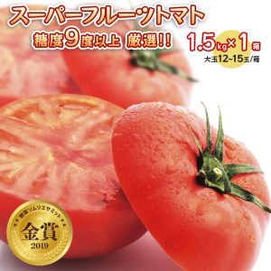  スーパーフルーツトマト 中箱 約1.2kg × 1箱  糖度9度 以上 野菜 フルーツトマト フルーツ トマト とまと [AF001ci]