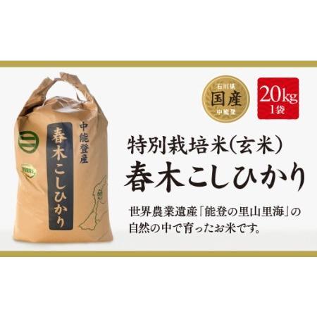 ふるさと納税 中能登町産　特別栽培米春木コシヒカリ（玄米）20kg 石川県中能登町