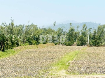 鹿野遠眺視野景觀好優質土地惜售｜台東縣鹿野鄉坪頂段
