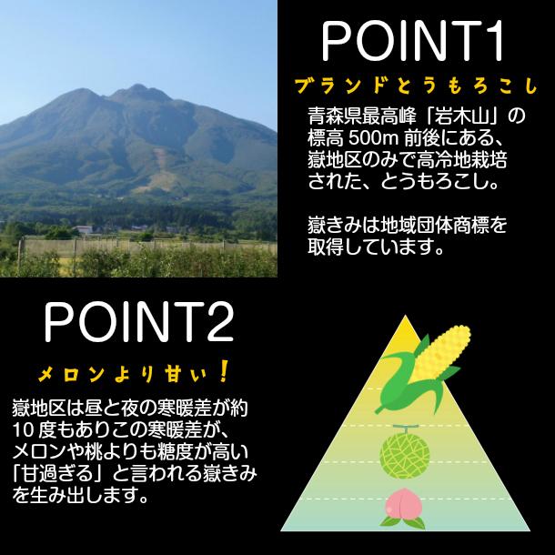 嶽きみ（真空パック） SSサイズ 10本 青森県産 だけきみ ダケキミ とうもろこし トウモロコシ もろこし きび 岩木屋