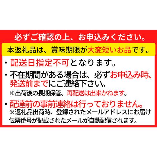 ふるさと納税 兵庫県 香美町 ご入金確認後、順次発送予定 冷蔵 香住港で水揚げ 紅ずわいがに 強い甘み み…