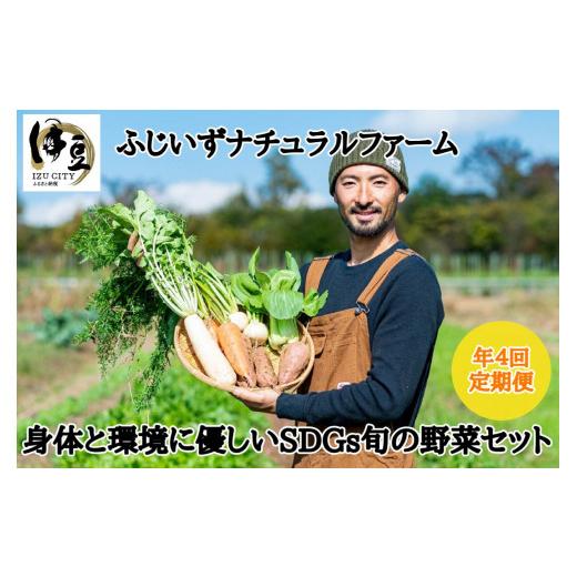 ふるさと納税 静岡県 伊豆市  （定期便・4回）発送月が選べる 身体 環境 優しい SDG 旬の野菜（７〜10種）セット 【 無農薬 無肥料 自然栽培 旬 新鮮 直送 自…