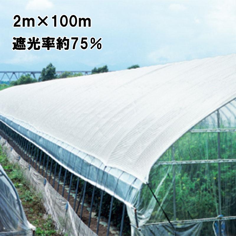 2m x 100m 白 遮光率30~35% タキイホワイトTW 遮光ネット TW30 寒冷紗 タキイ種苗 タS