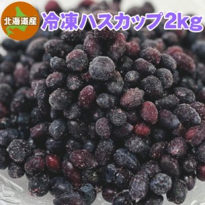 冷凍ハスカップ 2kg 北海道産 送料無料