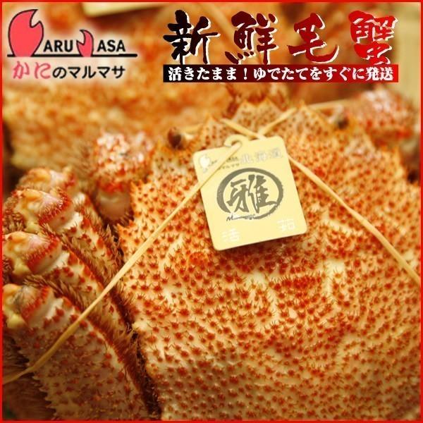 活毛がに350g＆いくら醤油漬け90g 1本＆熟成鮭手ほぐし160g 海鮮セット 北海道産 カニ通販 道産品 お歳暮 ギフト