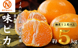 E08-24.ＪＡにしうわの季節の柑橘（川上共選　味ピカ 5kg）