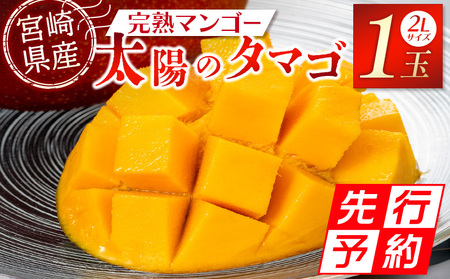 マンゴー 宮崎県産完熟マンゴー 太陽のタマゴ 2L×1個