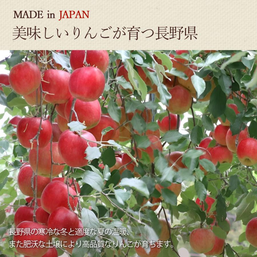 ドライフルーツ 砂糖不使用 無添加 国産 りんご 使用 ドライりんご チップス 30g 長野県 リンゴ ドライアップル ギフト ヨーグルト 紅茶