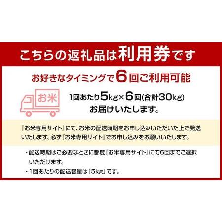 ふるさと納税 ふるさと納税 らくらくお米便　30kgコース 福岡県大川市