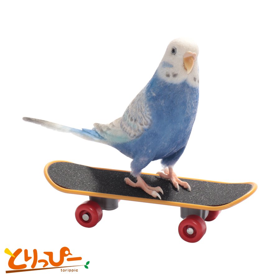 ミニ スケートボード 鳥用 おもちゃ バードトイ 玩具 映え オウム スケボー