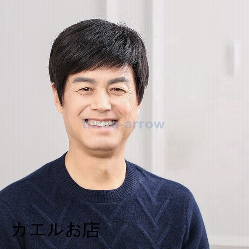 かつら 男性 短い髪 人毛ウィッグ 100 人毛 ハンサムな 自然 メンズ 手編み 通販 Lineポイント最大get Lineショッピング