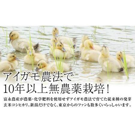 ふるさと納税 令和5年・新潟県産｜JAS有機栽培アイガモ農法 コシヒカリ 発芽玄米 2kg 新潟県上越市