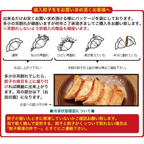 餃子 取り寄せ 送料無料 業務用 冷凍 生餃子 ぎょうざ ギョーザ 国産素材 時短 お手軽 簡単 大容量 餃子計画 業務用餃子600個入り 黒豚餃子