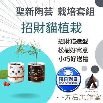 【一方石】招財貓幸運松盆栽 吉祥小植栽 陶瓷貓咪杯 桌面療癒擺飾 桌面擺飾 玄關擺件 開店送禮 清酒杯