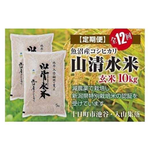 ふるさと納税 新潟県 十日町市 玄米10kg　新潟県魚沼産コシヒカリ「山清水米」