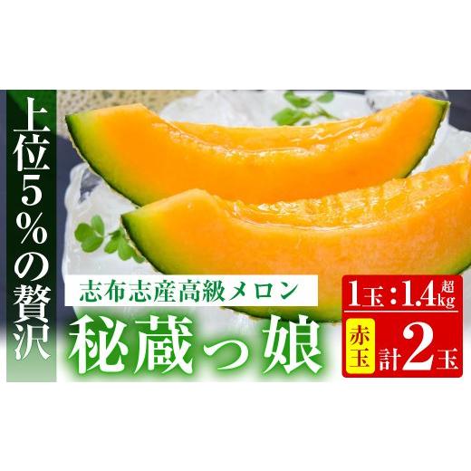 ふるさと納税 鹿児島県 志布志市 b5-068 極上メロン「秘蔵っ娘」赤玉(赤肉)2個