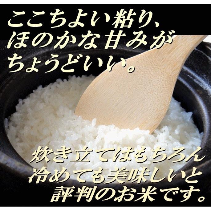 新米 令和5年産 宮城県 登米産  ひとめぼれ 宮城県認証 白米 25kg  無洗米 25kg 要選択 ※沖縄県送料別途3,000円 ◆デザインポリ袋仕様◆