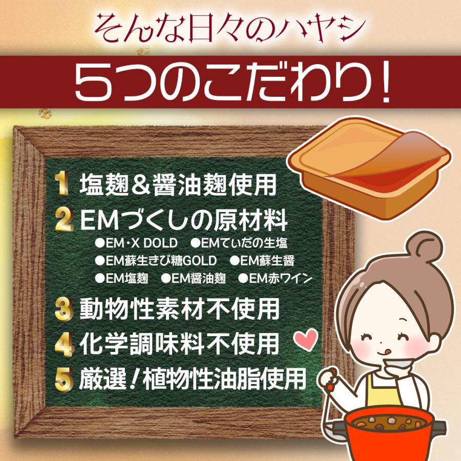 そんな日々のハヤシ115g×2個 （ハヤシルー ハヤシルウ）新商品 化学調味料不使用