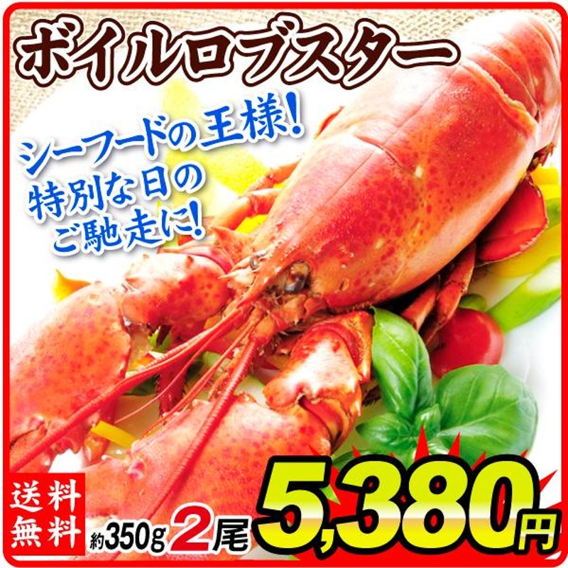 ロブスター 2尾 ボイルロブスター 北米産 送料無料 350g×２ カナダ