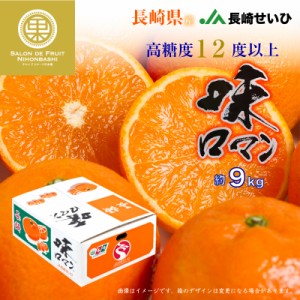 [予約 2024年1月1日必着] 味ロマン 2Lサイズ 約 9kg 長崎県 JA長崎せいひ お正月必着指定 お年賀 御年賀 冬ギフト