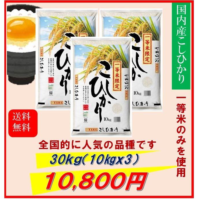 新米　米　お米　３０ｋｇ　（１０ｋｇ×３）　一等米　こしひかり　国内産　令和５年産　送料無料