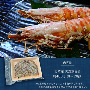 天草産 天然車海老 約400g